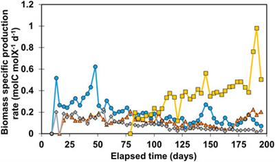 Biomass-specific rates as key performance indicators: A nitrogen balancing method for biofilm-based electrochemical conversion